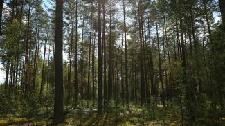 Фото из архива