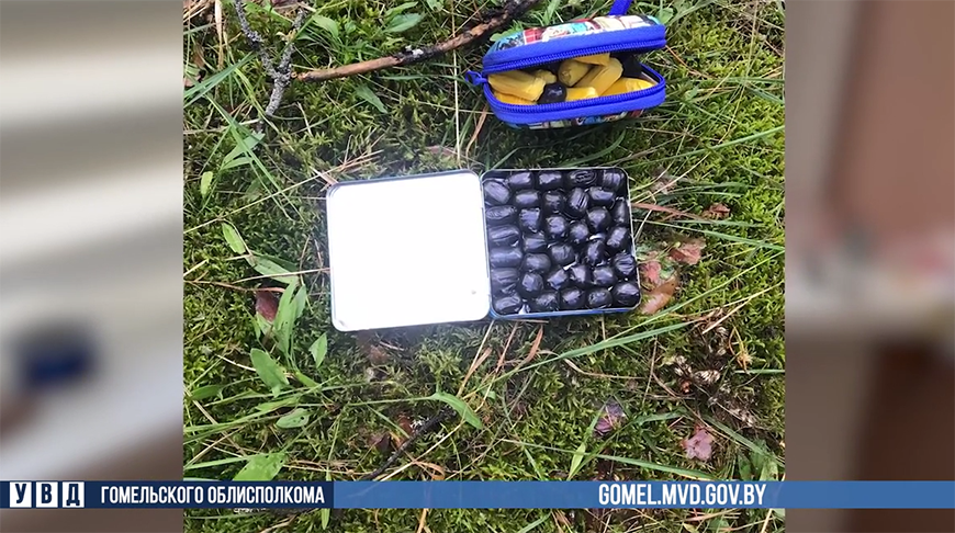 Скриншот видео УВД Гомельского облисполкома