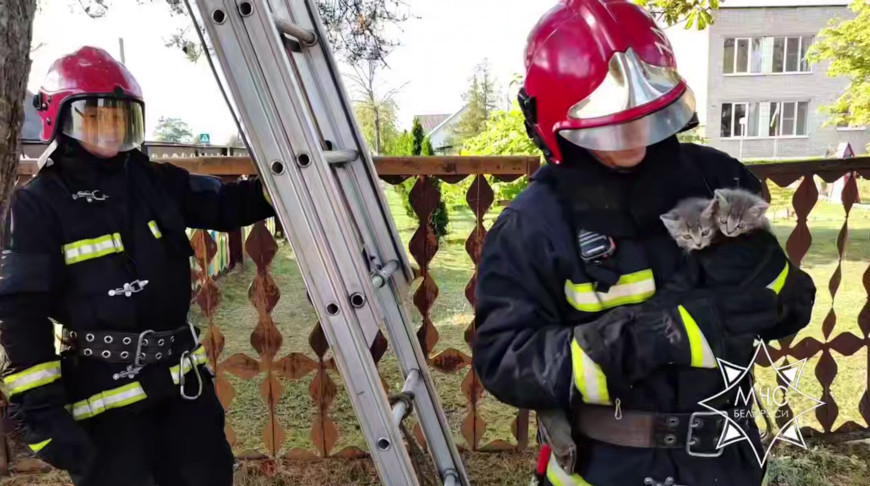 Скриншот видео МЧС