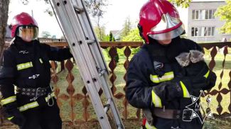 Скриншот видео МЧС