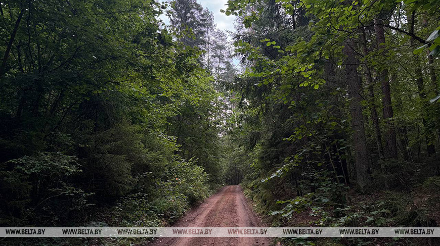 Фото из архива