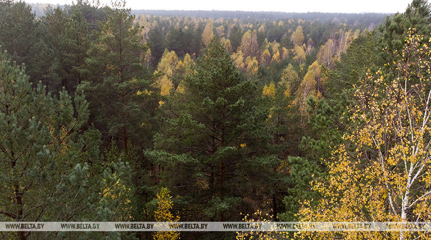 Фото из архива