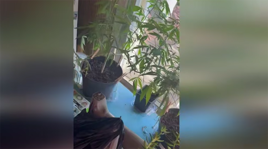 Скриншот видео ГУВД Мингорисполкома