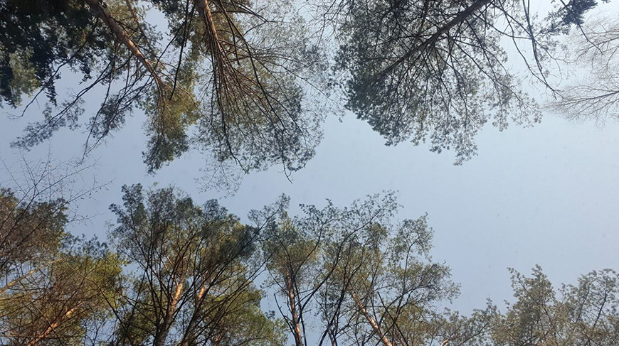 Фото из архива