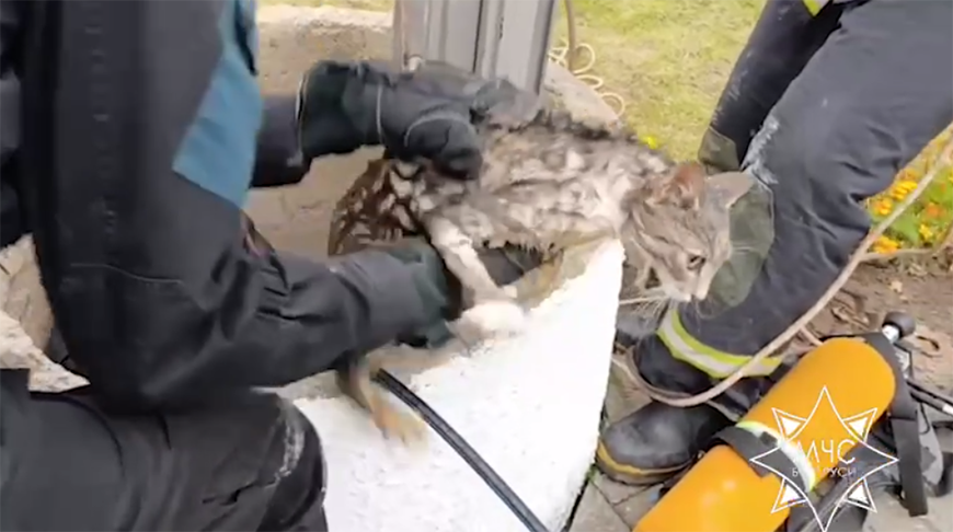 Скриншот видео МЧС