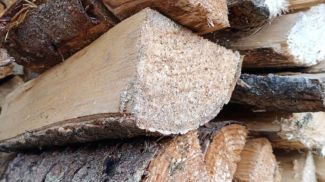 Фото из архива