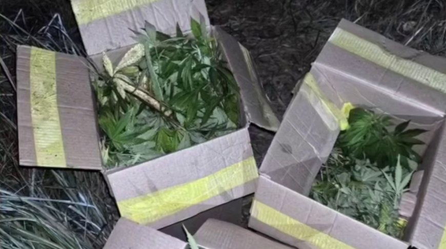 Скриншот видео МВД