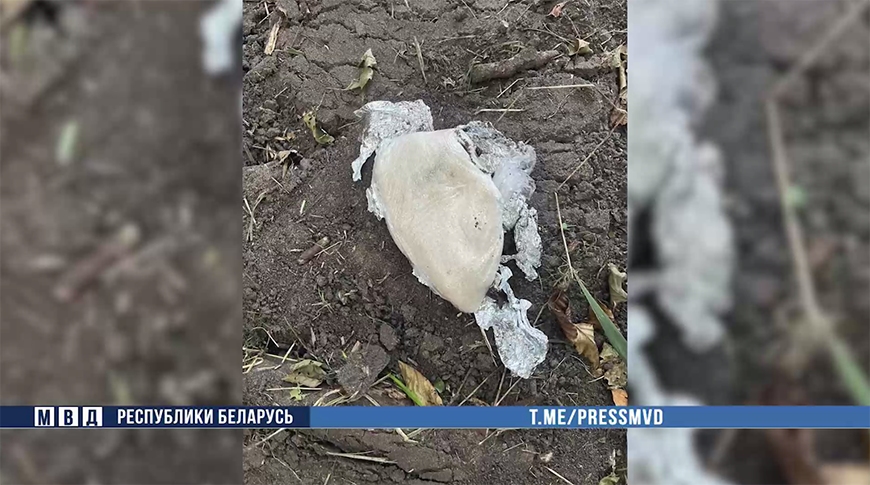 Скриншот видео МВД