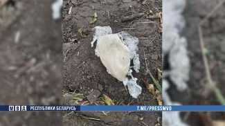 Скриншот видео МВД