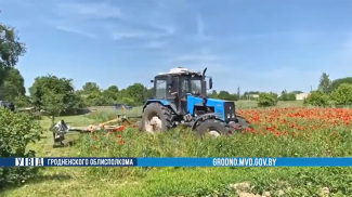 Скриншот видео УВД Гродненского облисполкома