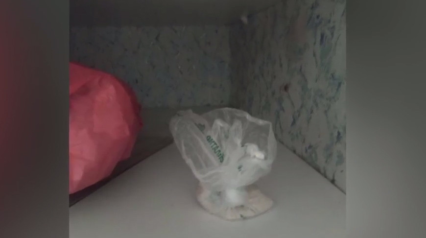 Скриншот видео УВД Гродненского облисполкома