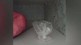 Скриншот видео УВД Гродненского облисполкома