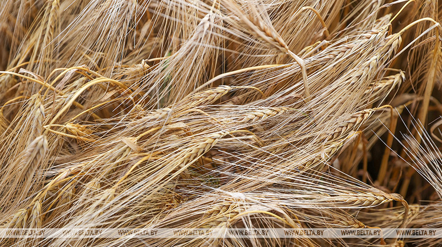 Фото из архива