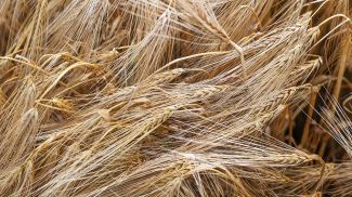 Фото из архива