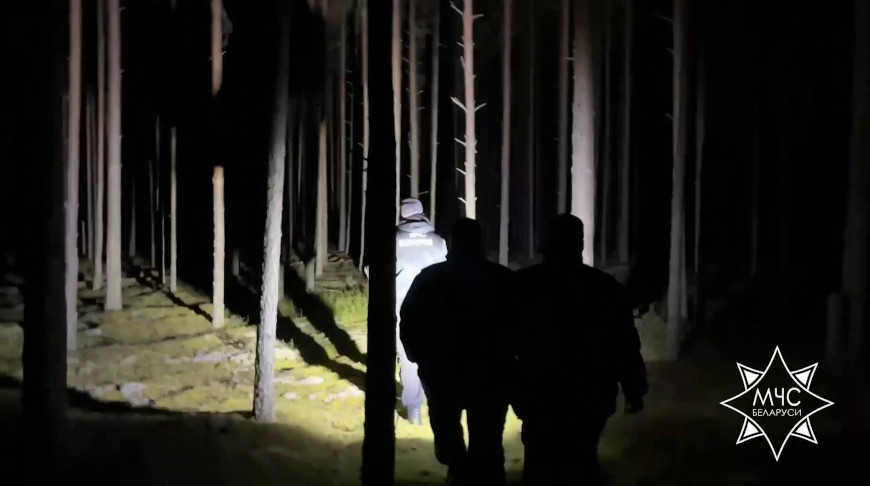 Скриншот видео МЧС