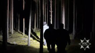 Скриншот видео МЧС