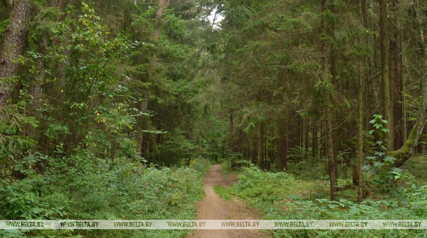 Фото из архива