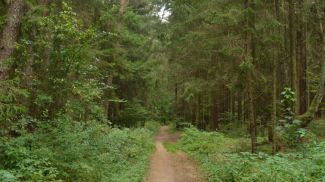 Фото из архива