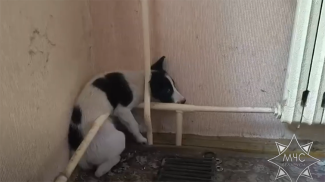 Скриншот видео МЧС