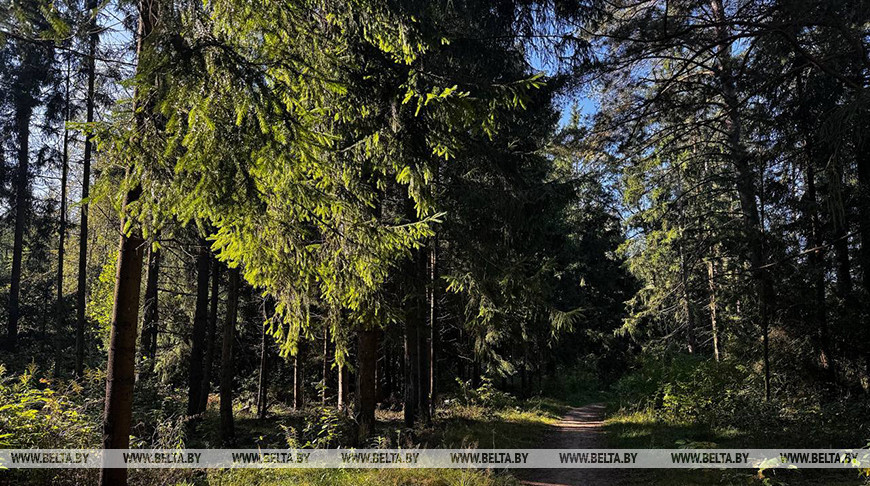 Фото из архива