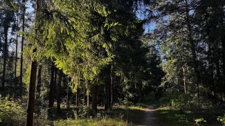 Фото из архива