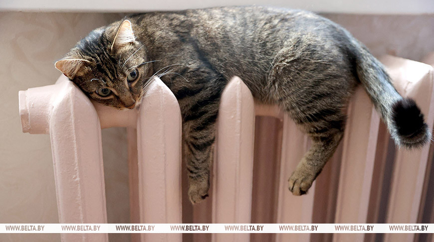 Фото из архива