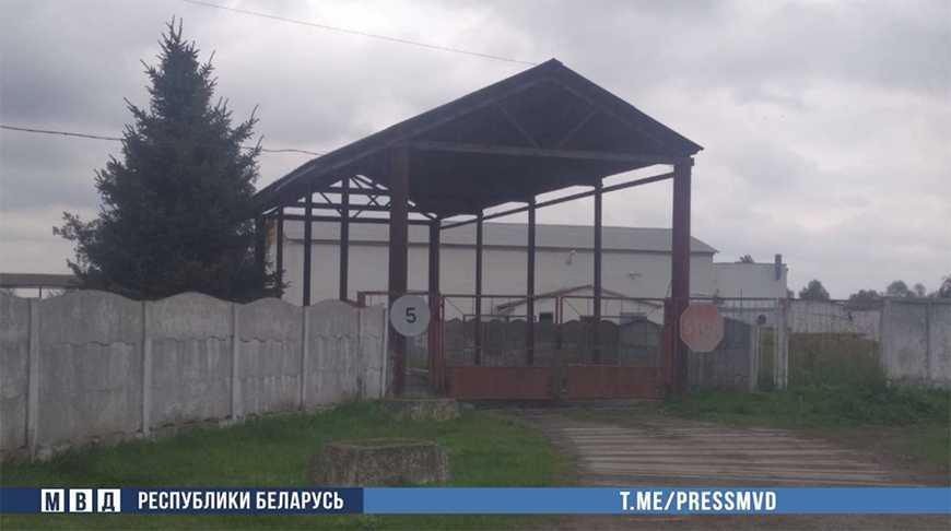 Скриншот видео МВД