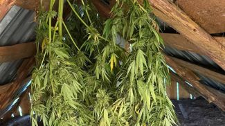 Фото УВД Миноблисполкома