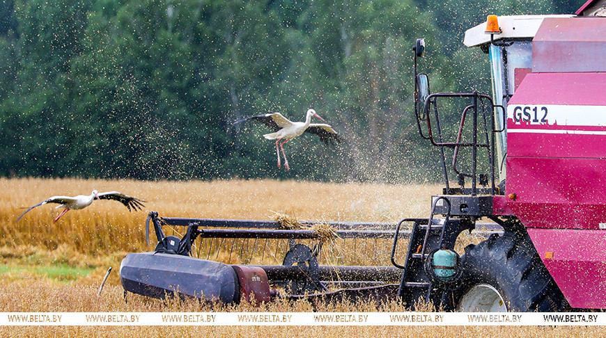 Фото из архива