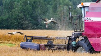 Фото из архива