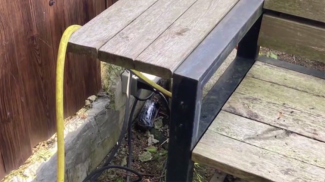 Скриншот видео МВД