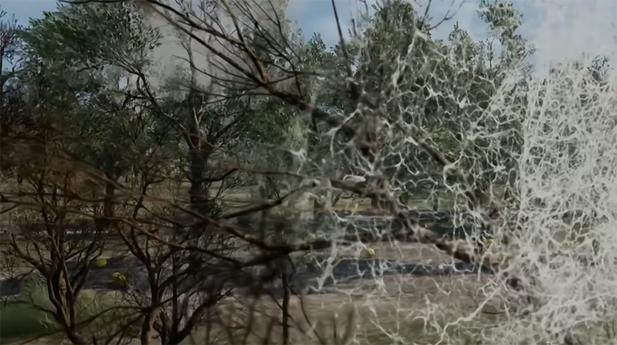 Скриншот видео телеканала ОНТ