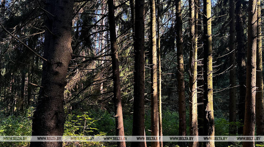 Фото из архива