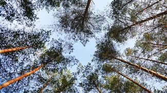 Фото из архива