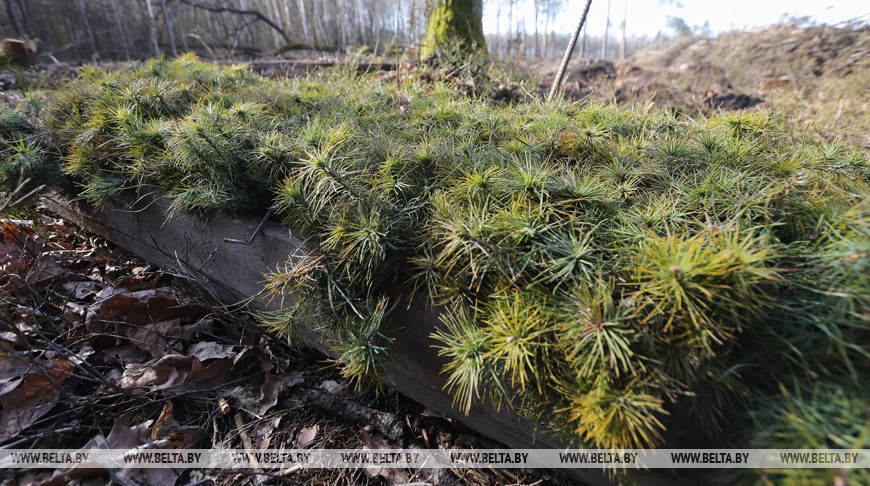 Фото из архива