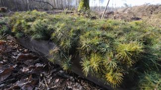 Фото из архива