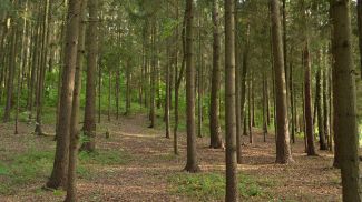 Фото из архива