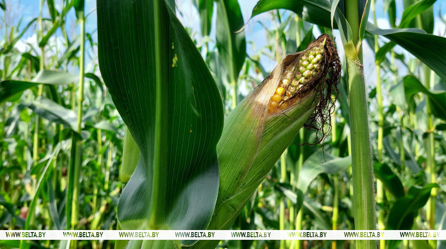 Фото из архива