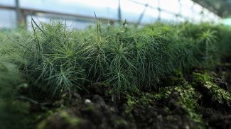 Фото из архива