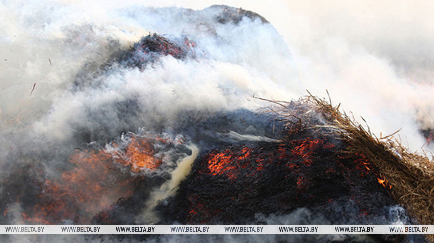 Фото из архива