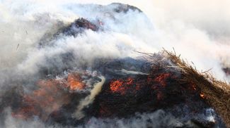 Фото из архива