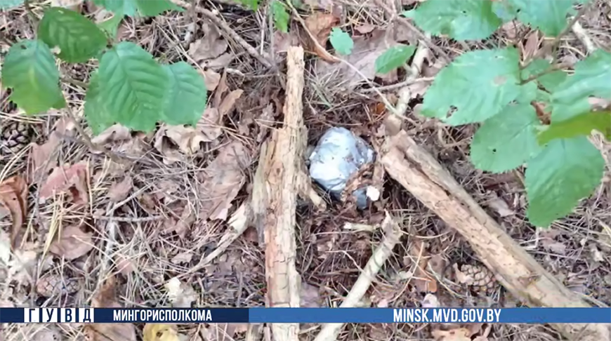 Скриншот видео ГУВД Мингорисполкома