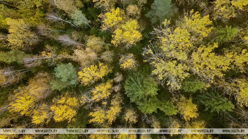 Фото из архива