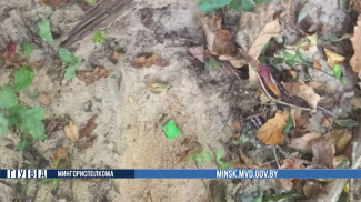 Скриншот видео ГУВД Мингорисполкома