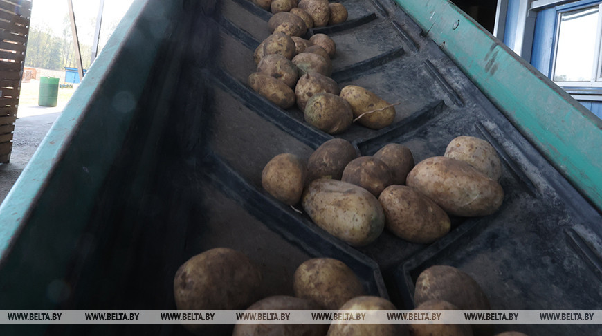 Фото из архива