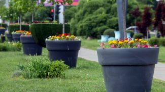 Фото из архива