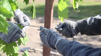 Фото из архива