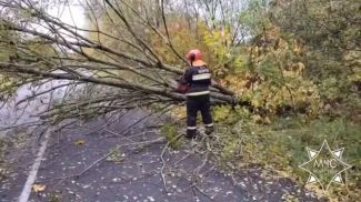 Скриншот видео МЧС