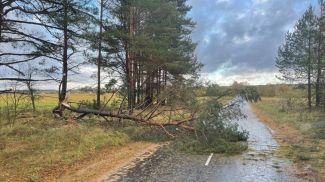 Фото Витебского областного УМЧС