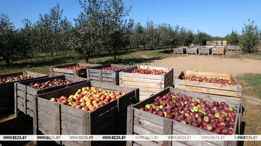 Фото из архива